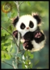 Kpanda88