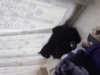 heather_13559