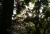 eostre