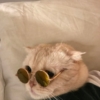 jenna42074