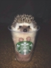 peachipotter