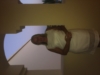 sara_57285