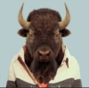 DarkBison