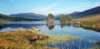skye1102