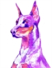 Purpledobermann