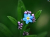 Lubelle81